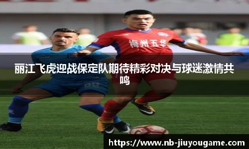 丽江飞虎迎战保定队期待精彩对决与球迷激情共鸣